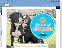 Tablet Screenshot of kcpetproject.org
